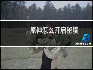 原神怎么开启秘境