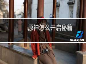 原神怎么开启秘籍