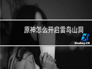 原神怎么开启雷鸟山洞