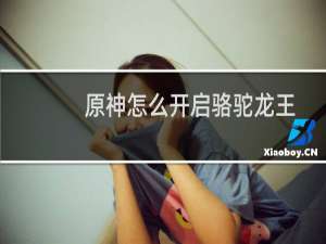 原神怎么开启骆驼龙王