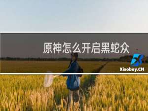 原神怎么开启黑蛇众