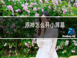 原神怎么开小屏幕