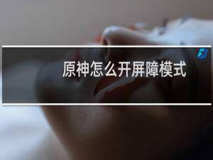原神怎么开屏障模式