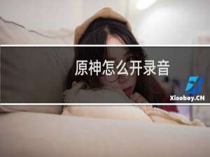 原神怎么开录音