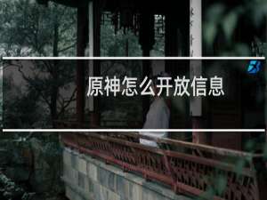 原神怎么开放信息