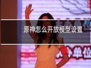 原神怎么开放模型设置