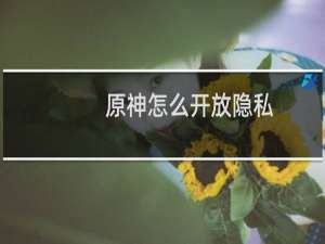 原神怎么开放隐私
