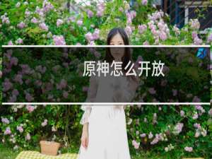 原神怎么开放