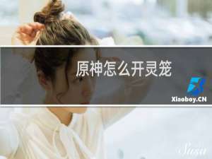 原神怎么开灵笼