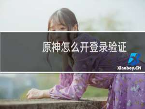 原神怎么开登录验证