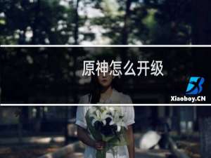原神怎么开级