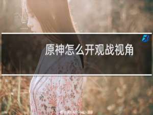 原神怎么开观战视角