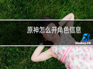 原神怎么开角色信息