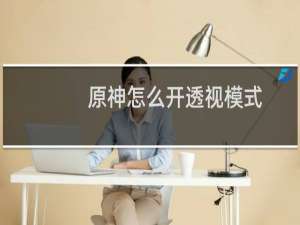 原神怎么开透视模式