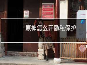 原神怎么开隐私保护