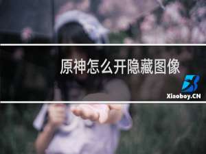 原神怎么开隐藏图像