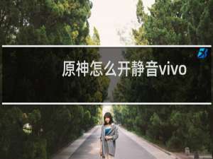 原神怎么开静音vivo