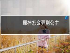 原神怎么弄到公主