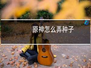 原神怎么弄种子