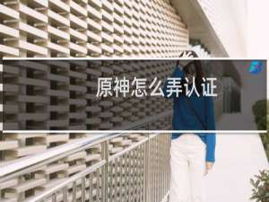 原神怎么弄认证