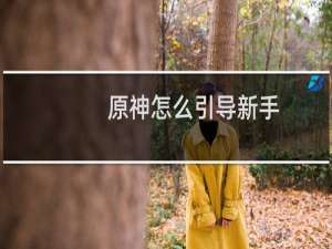 原神怎么引导新手