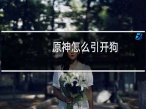 原神怎么引开狗