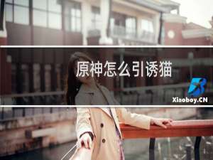 原神怎么引诱猫