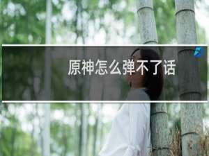 原神怎么弹不了话