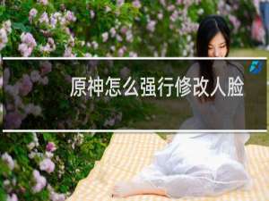 原神怎么强行修改人脸