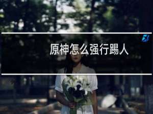 原神怎么强行踢人