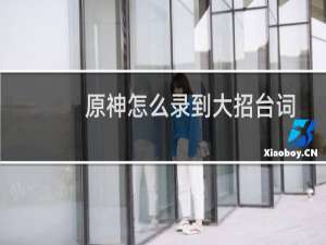 原神怎么录到大招台词