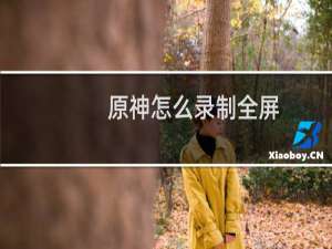 原神怎么录制全屏