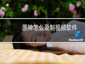 原神怎么录制视频软件