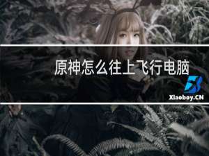 原神怎么往上飞行电脑