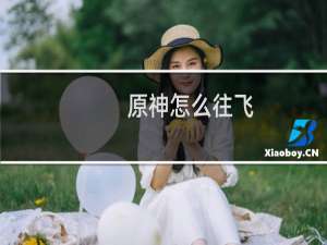 原神怎么往飞