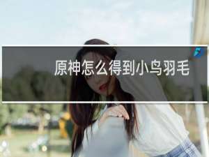 原神怎么得到小鸟羽毛