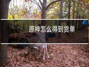 原神怎么得到货单