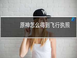 原神怎么得到飞行执照