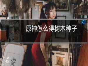 原神怎么得树木种子