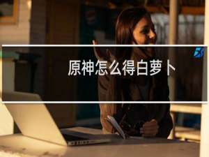 原神怎么得白萝卜