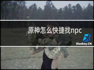 原神怎么快捷找npc