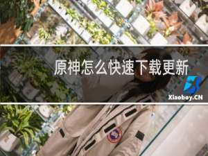 原神怎么快速下载更新