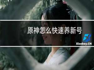 原神怎么快速养新号