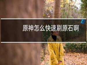 原神怎么快速刷原石啊