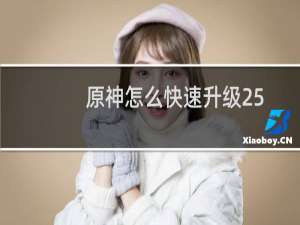 原神怎么快速升级25