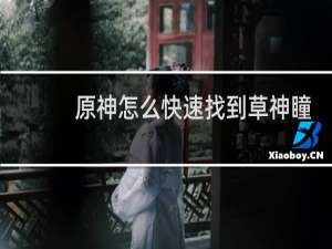 原神怎么快速找到草神瞳