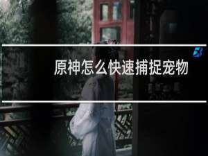 原神怎么快速捕捉宠物