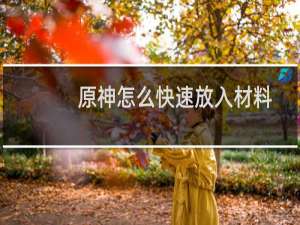 原神怎么快速放入材料