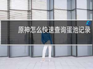 原神怎么快速查询蛋池记录