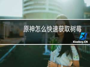 原神怎么快速获取树莓